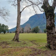 PROPIEDAD EN RIÑINAHUE, LAGO RANCO