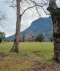 PROPIEDAD EN RIÑINAHUE, LAGO RANCO