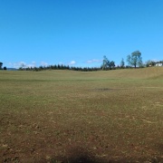 PARCELA DE 4.76 HREA., SECTOR PELLINADA, LOS LAGOS.