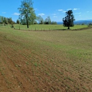 PARCELA DE 4.76 HREA., SECTOR PELLINADA, LOS LAGOS.