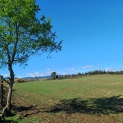 PARCELA DE 4.76 HREA., SECTOR PELLINADA, LOS LAGOS.