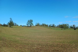 PARCELA DE 4.76 HREA., SECTOR PELLINADA, LOS LAGOS.