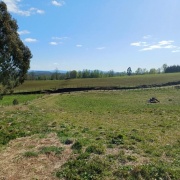 PARCELA DE 1 HECTAREA CON CASA POR TERMINAR, SECTOR PELLINADA, LOS LAGOS