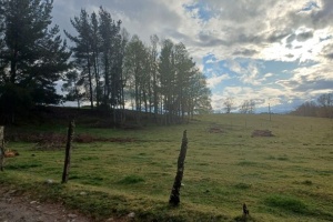 PARCELA DE 6 HREAS. EN PELLINADA, LOS LAGOS.
