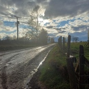 PARCELA DE 6 HREAS. EN PELLINADA, LOS LAGOS.