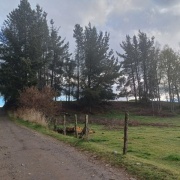 PARCELA DE 6 HREAS. EN PELLINADA, LOS LAGOS.