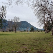 PROPIEDAD EN RIÑINAHUE, LAGO RANCO