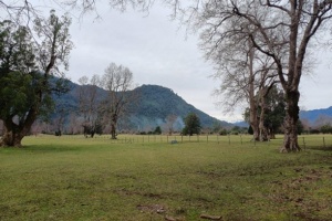 PROPIEDAD EN RIÑINAHUE, LAGO RANCO