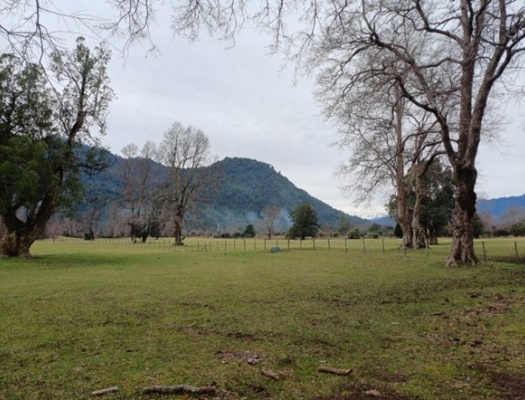 PROPIEDAD EN RIÑINAHUE, LAGO RANCO
