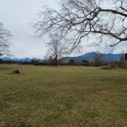 PROPIEDAD EN RIÑINAHUE, LAGO RANCO
