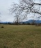 PROPIEDAD EN RIÑINAHUE, LAGO RANCO