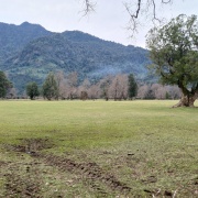 PROPIEDAD EN RIÑINAHUE, LAGO RANCO
